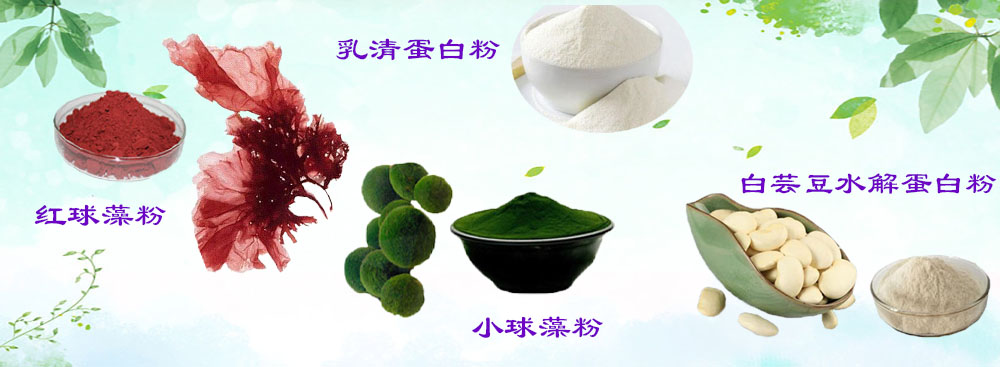 高品質(zhì) 低價(jià)格 產(chǎn)品種類(lèi)豐富