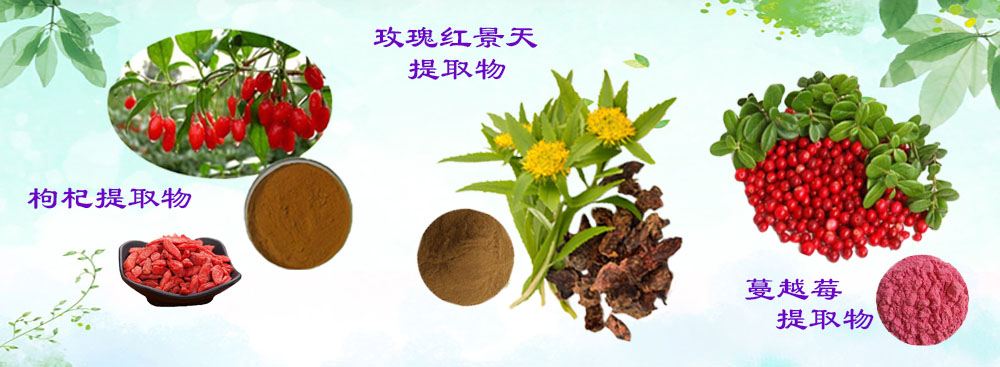 大企業(yè)的業(yè)績(jī) 和XX企業(yè)有很好的合作關(guān)系